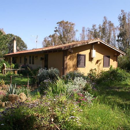 סן ג'ובאני די סיניס Tharros B&B מראה חיצוני תמונה