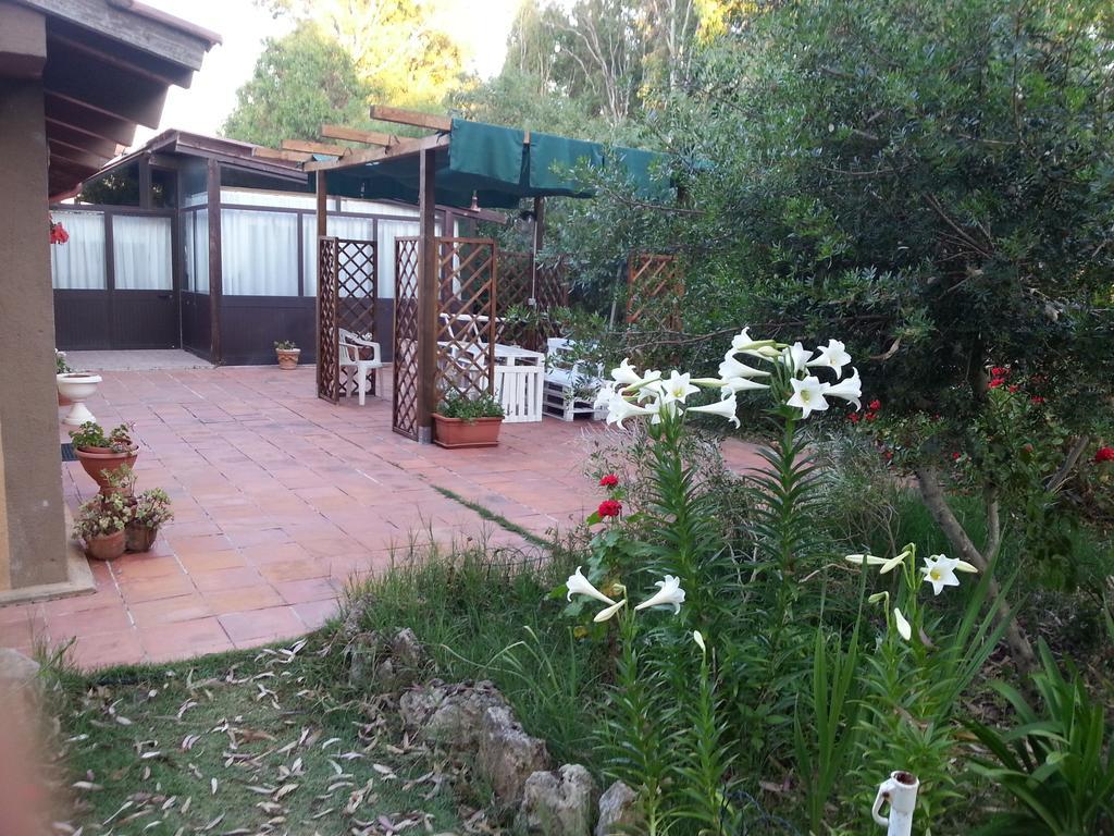 סן ג'ובאני די סיניס Tharros B&B מראה חיצוני תמונה